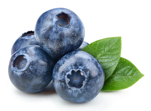 BILBERRY