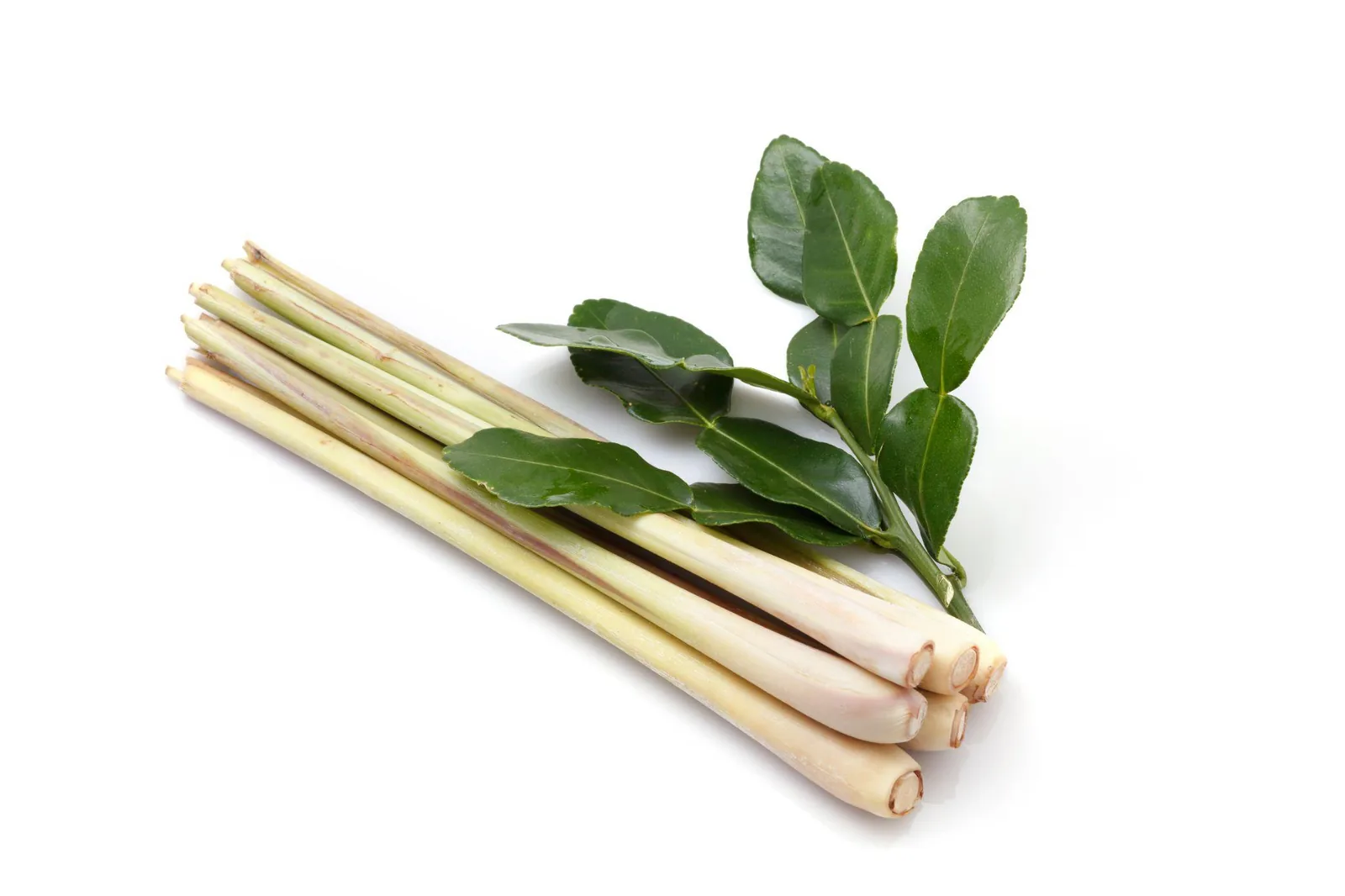 LEMONGRASS